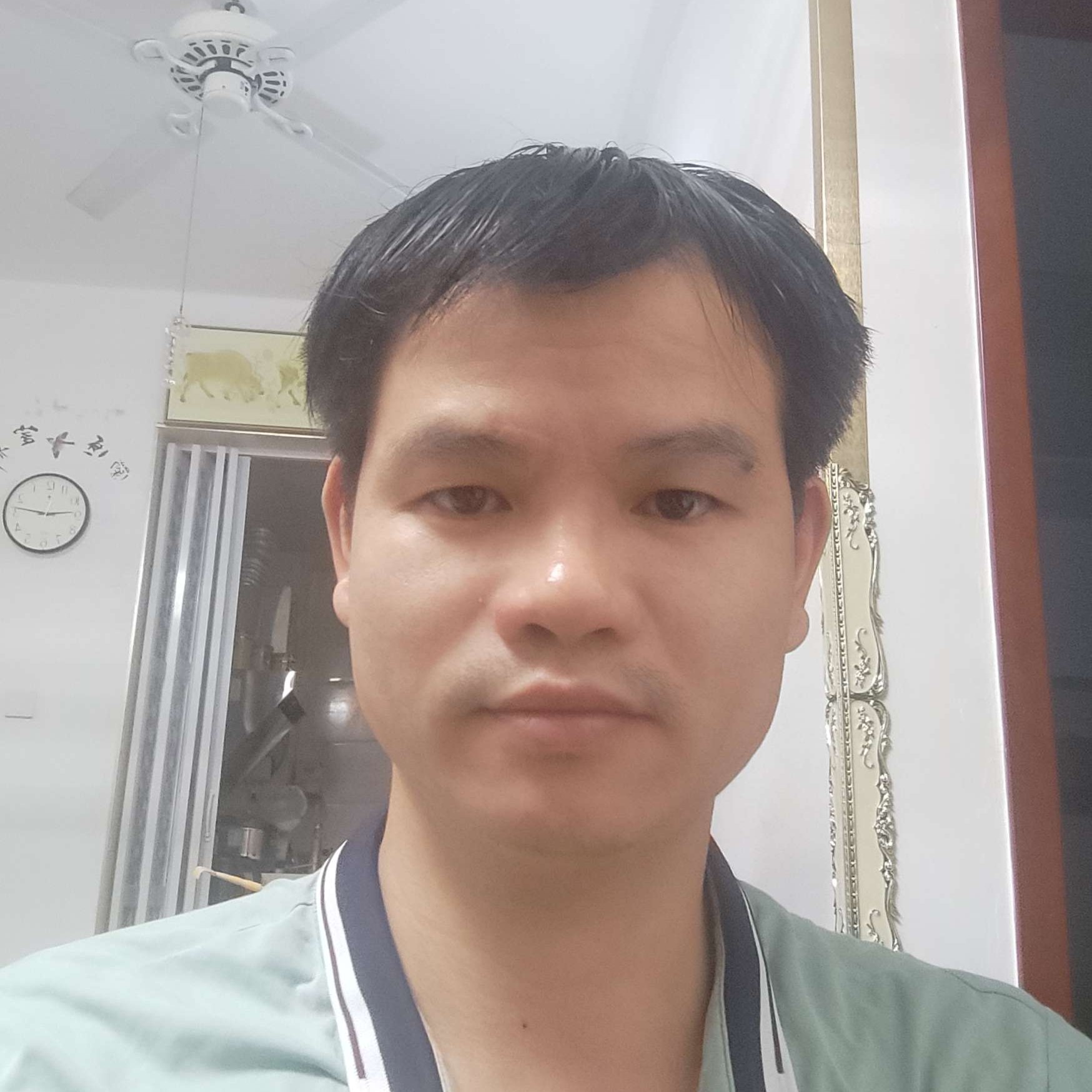 香菇壮观的照片