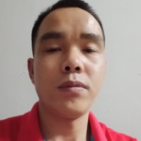 小巧保卫大雁的照片