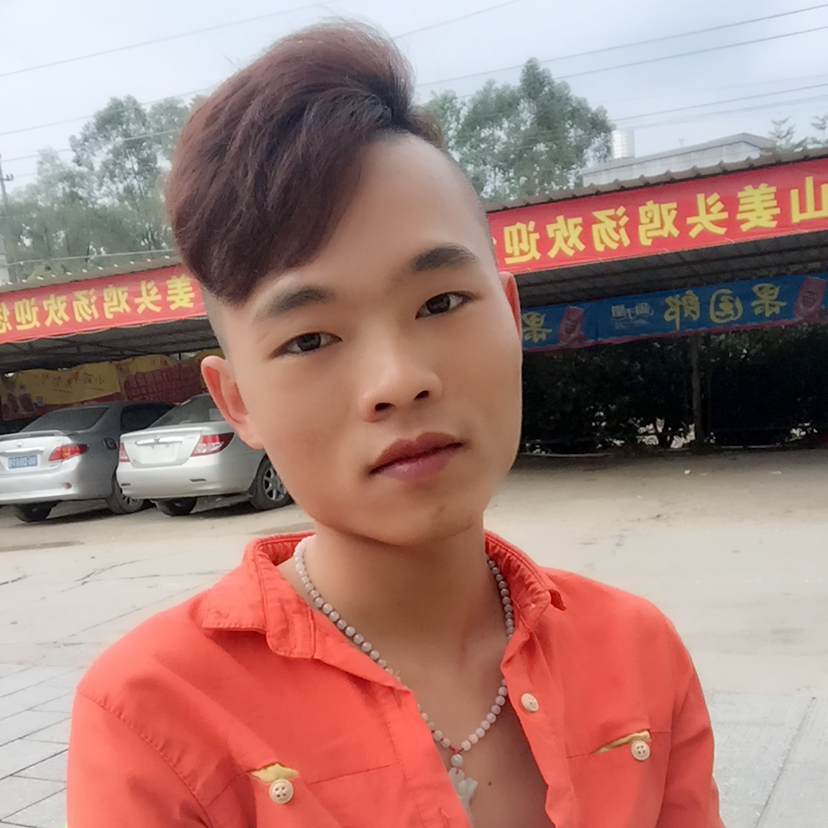 树叶彼年的照片
