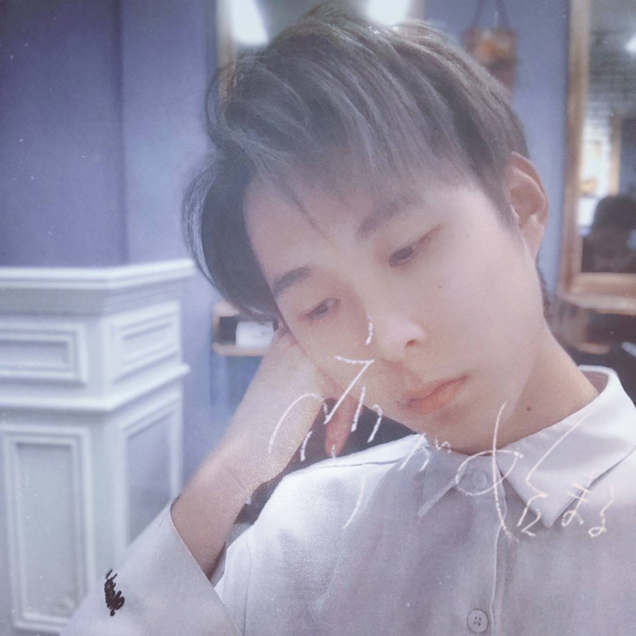 蜜蜂的照片