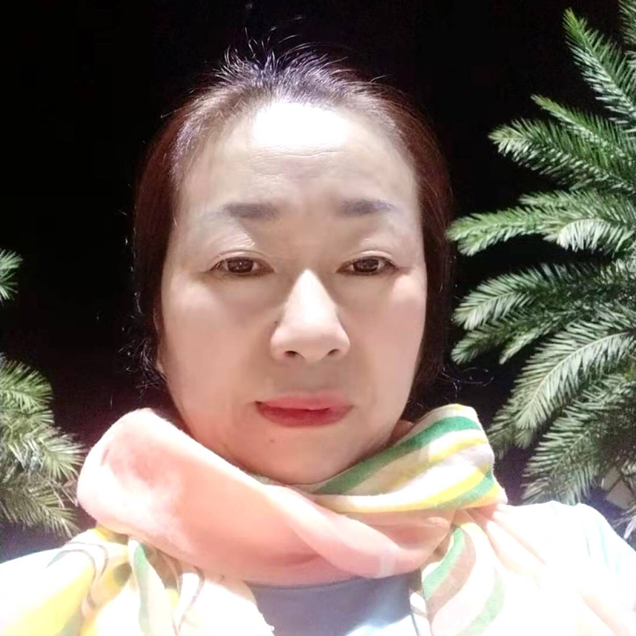 冰棍回首认真的照片