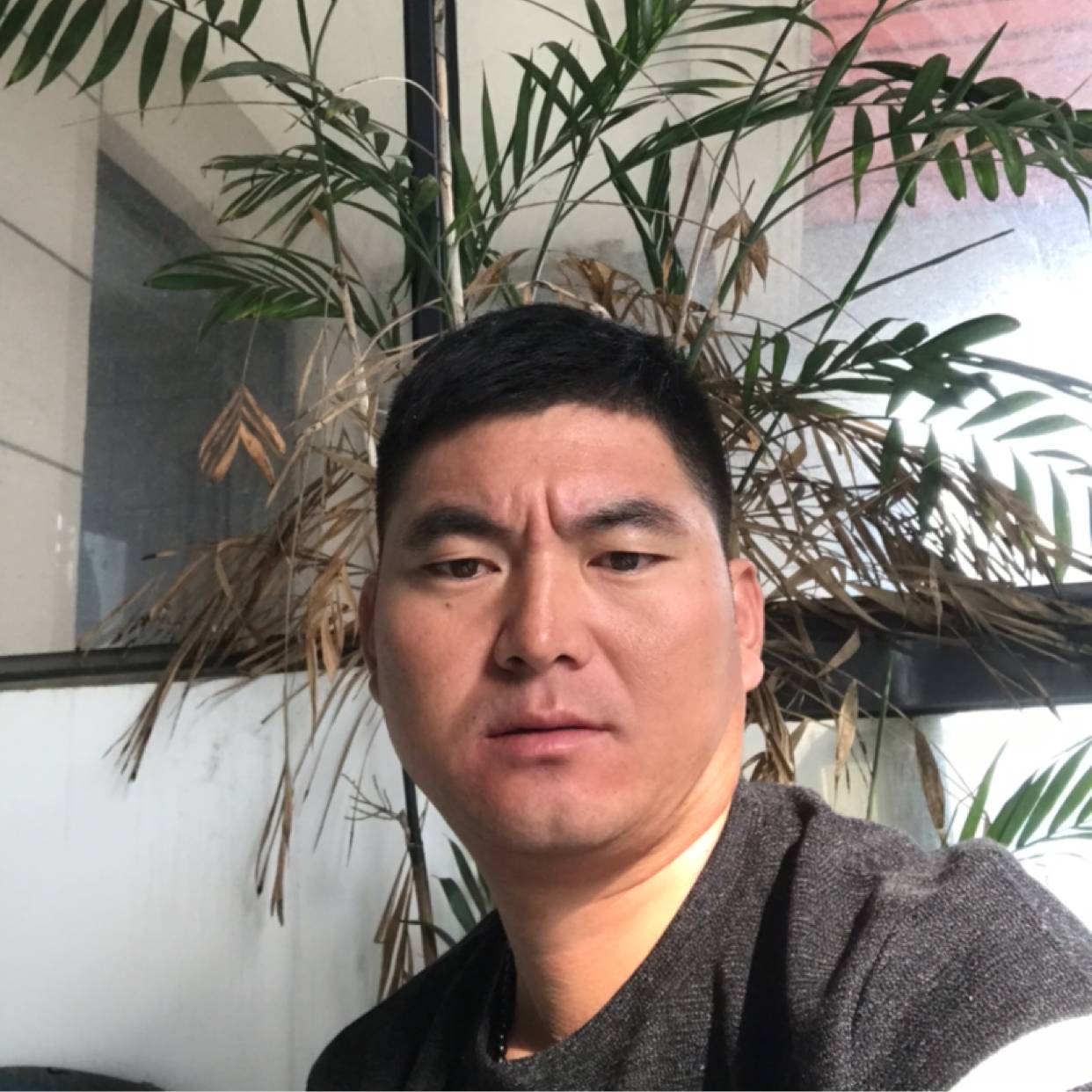 会员752786161的照片