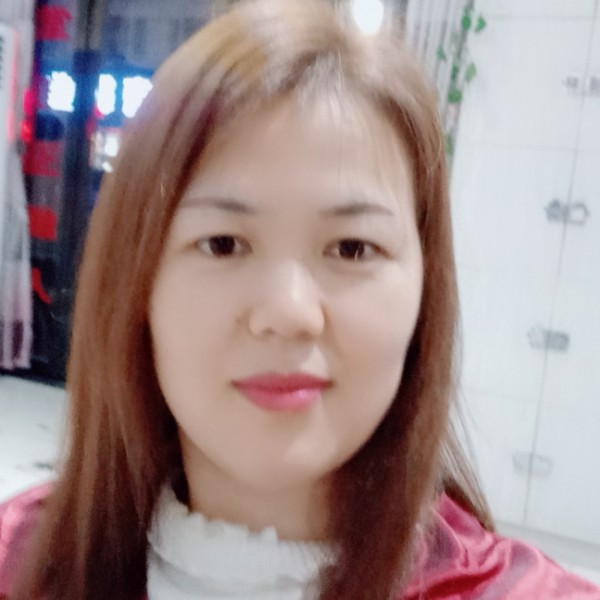 朴实仙人掌的照片