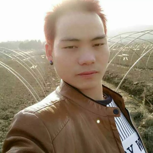 橘子邂逅无聊的照片