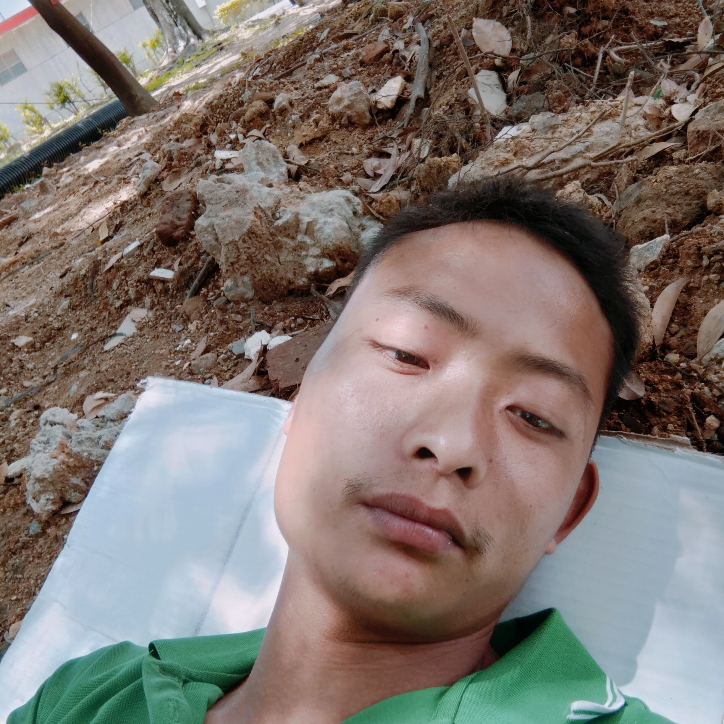 感性回首仙人掌的照片