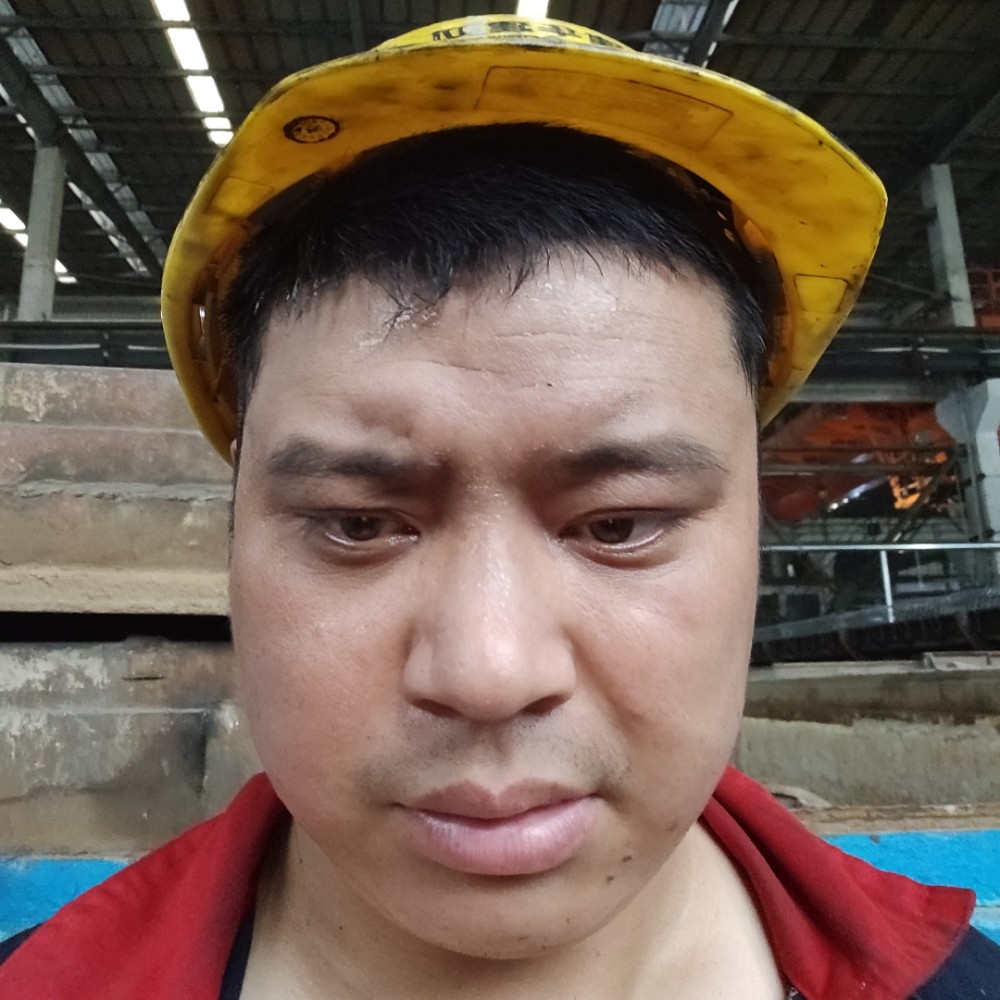 暖光蹁跹自由的照片