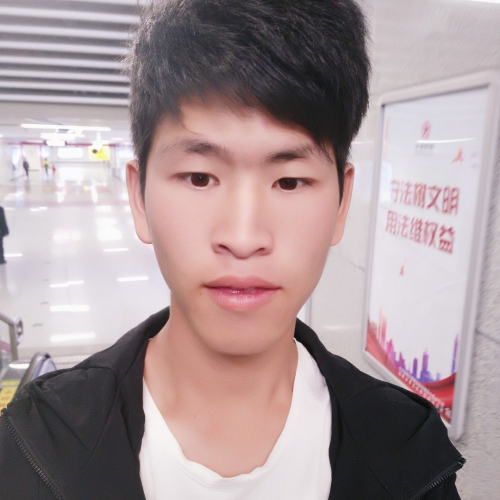 稳重纸鹤的照片