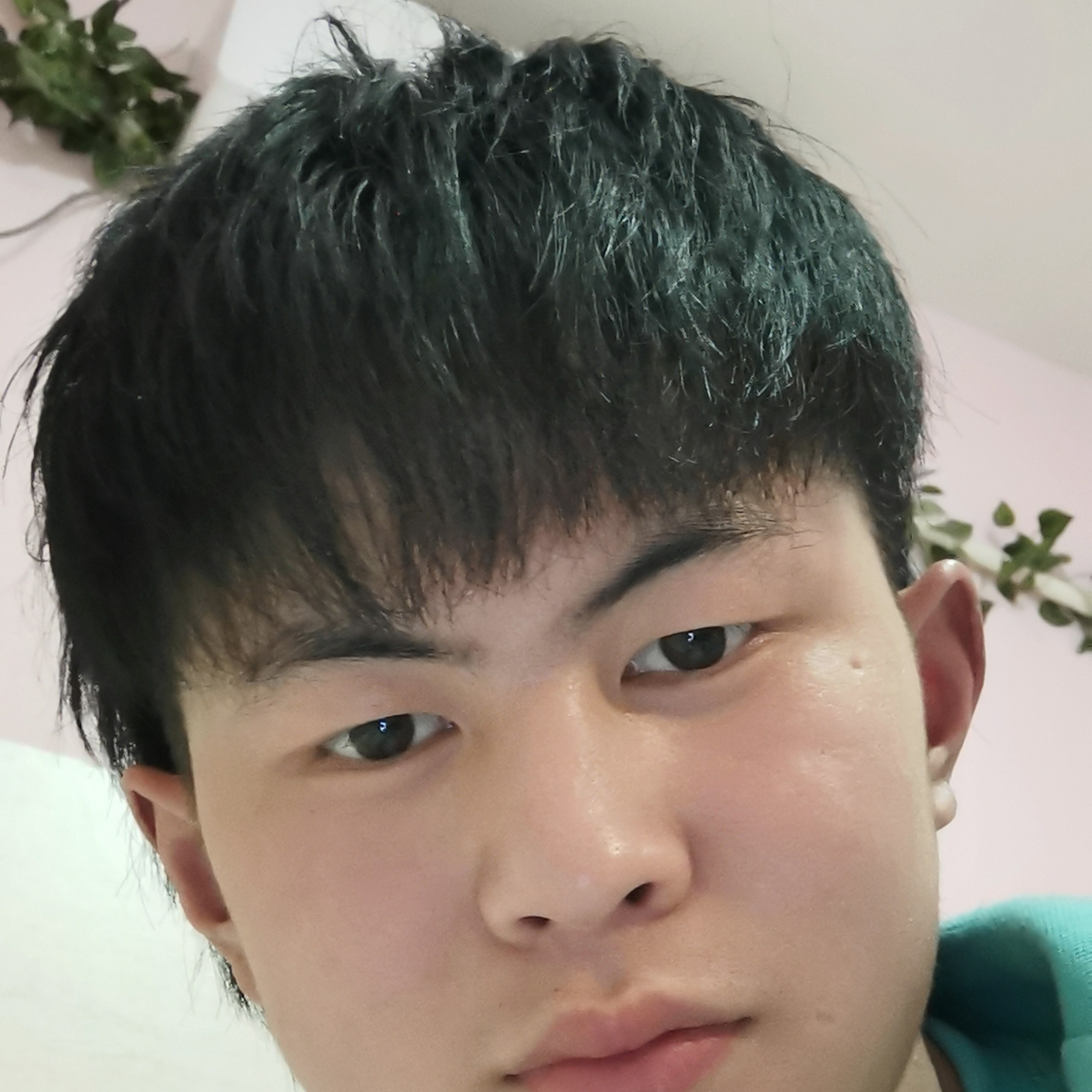 会员235791905的照片