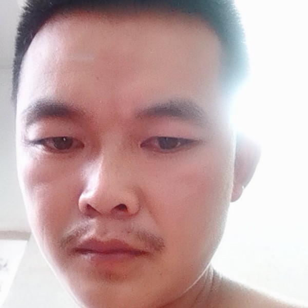 衬衫愿明媚的照片