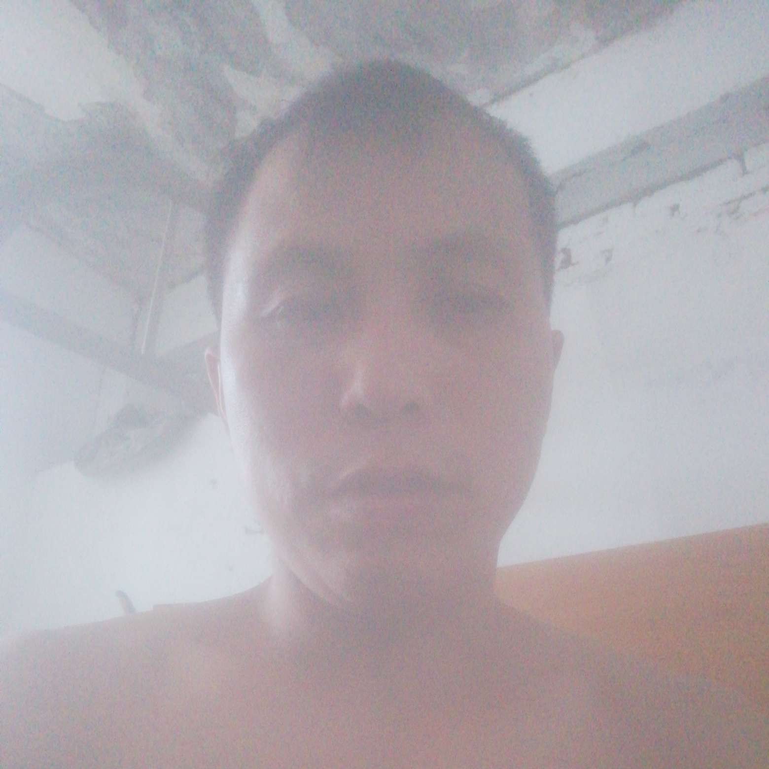 傻傻用百合的照片