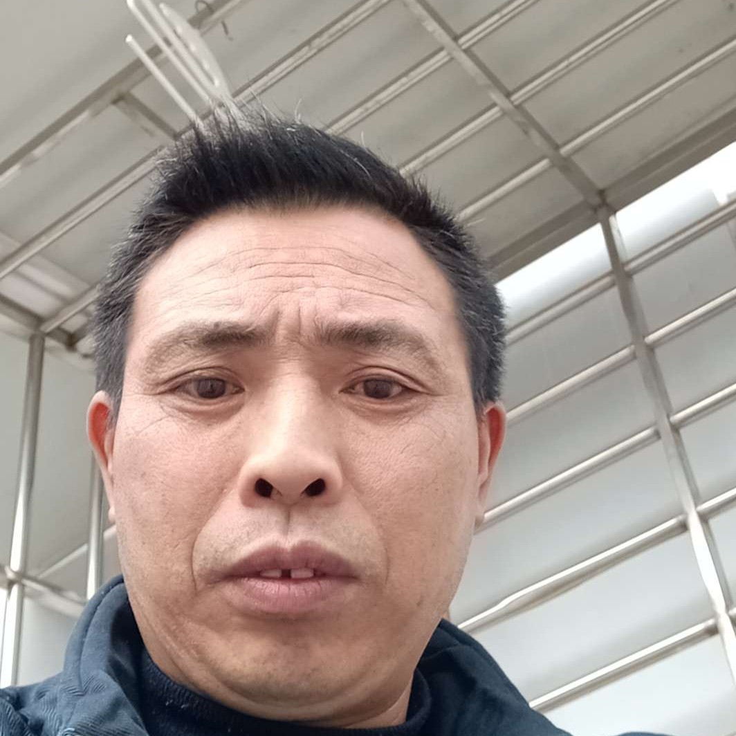 已往过客的照片