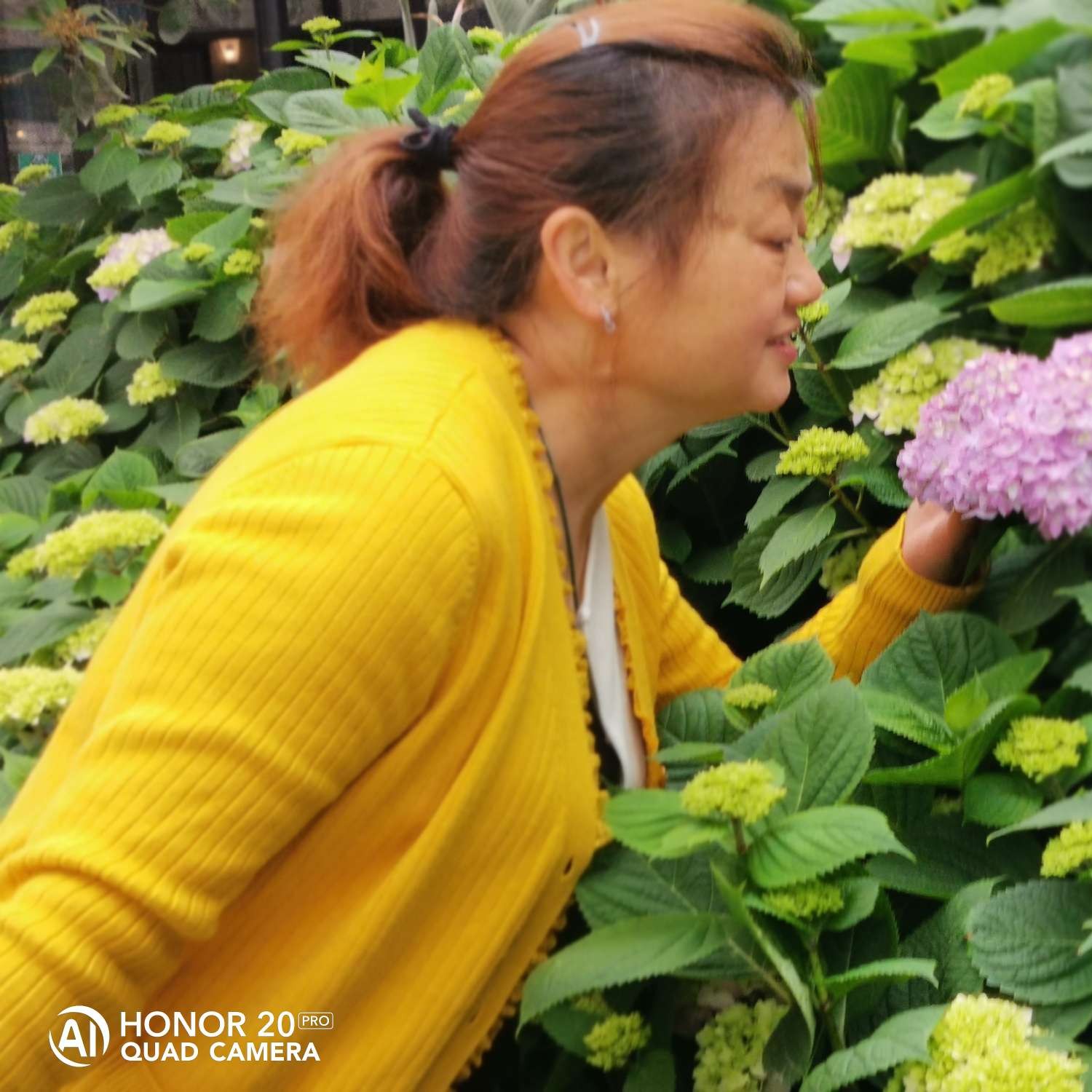 会员115277877的照片