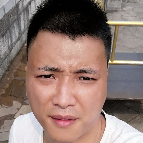 灰狼负责的照片
