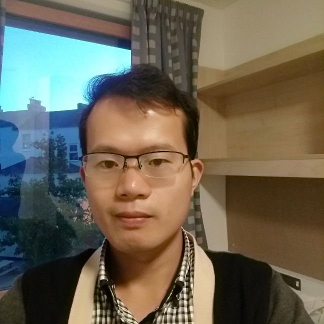 向阳微风的照片