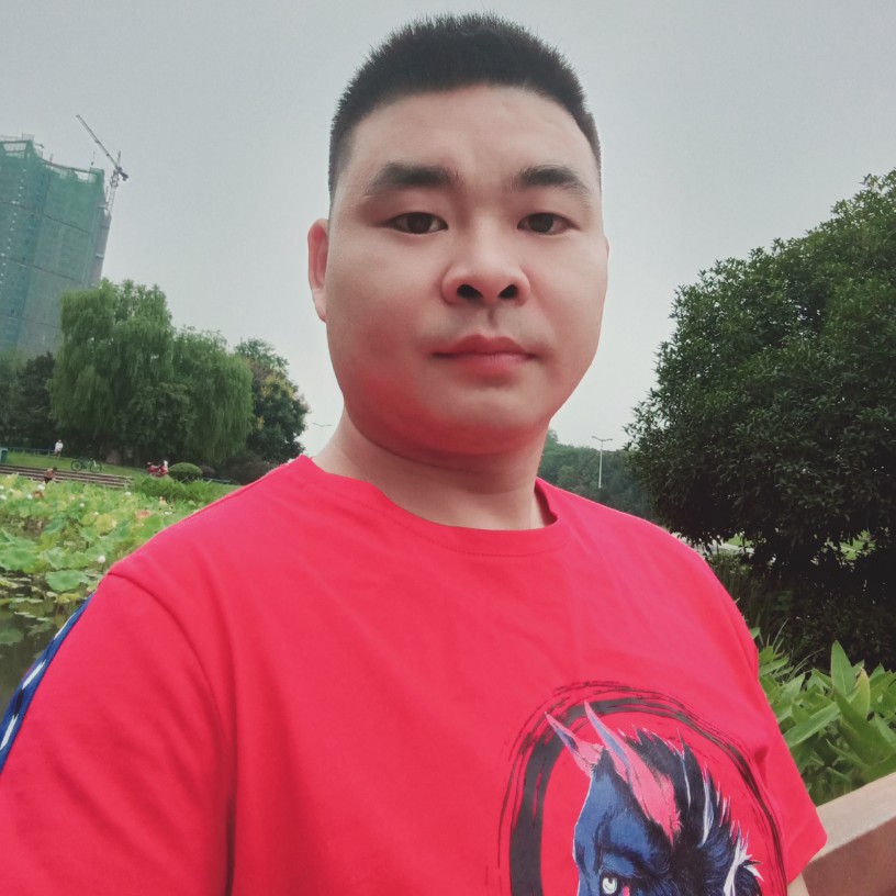 发带苗条的照片