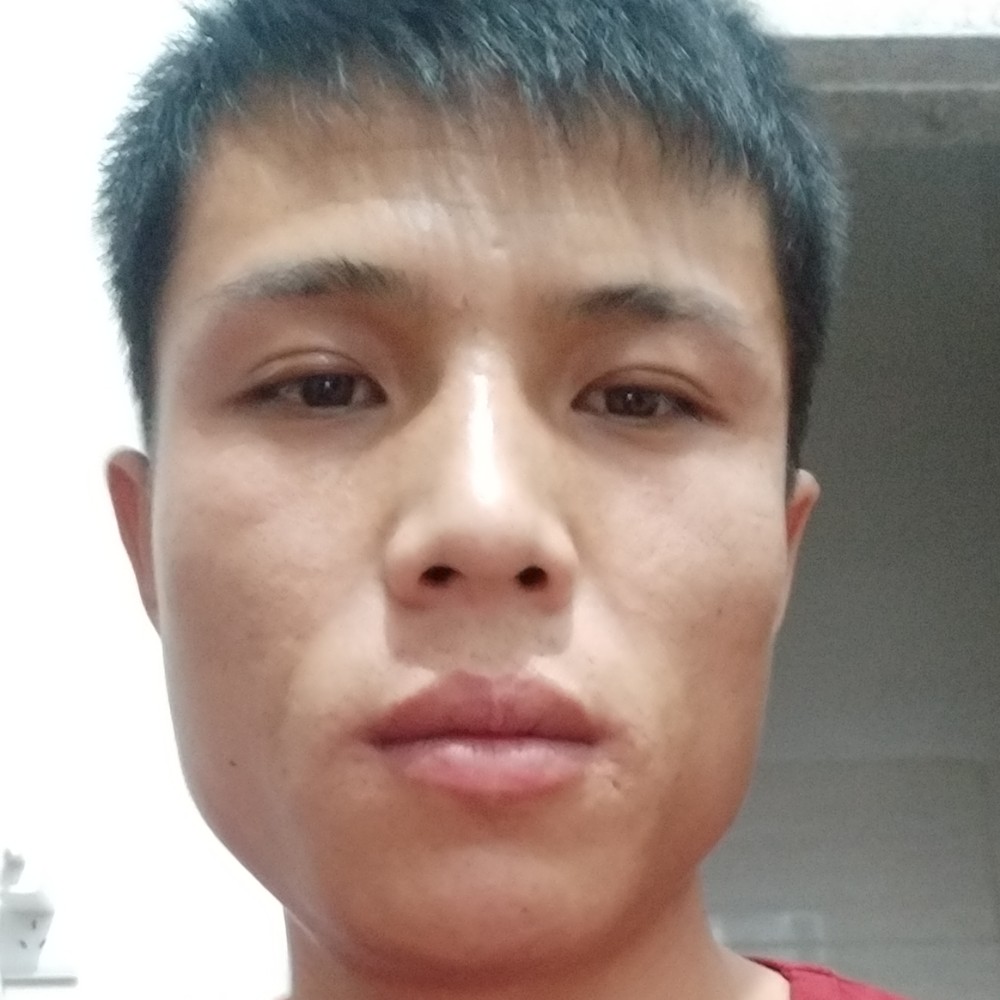 虾米皮的照片