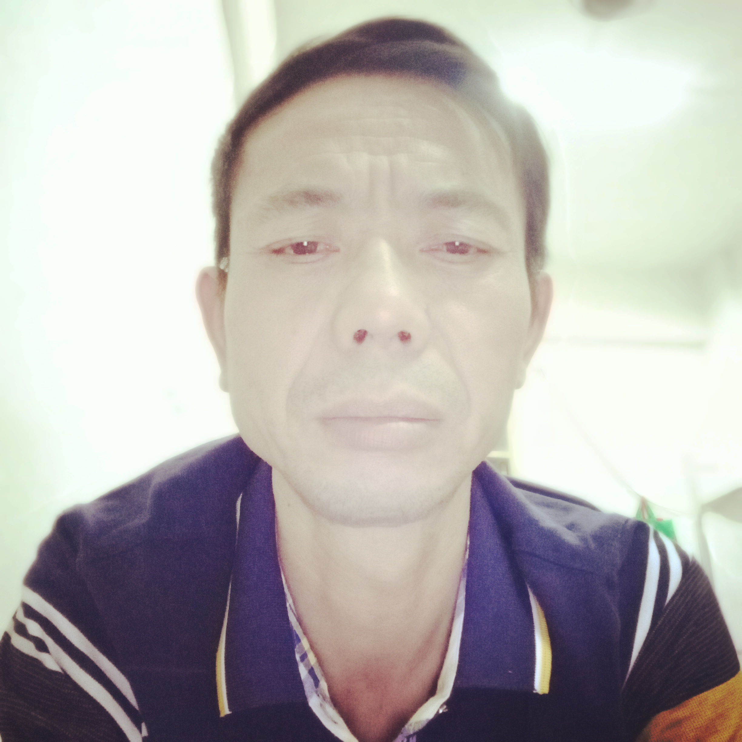 小鸽子愿热情的照片
