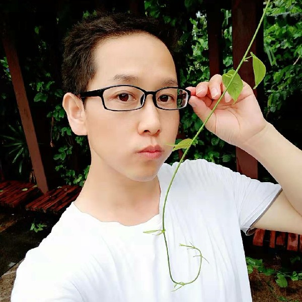 刺猬拿温暖的照片