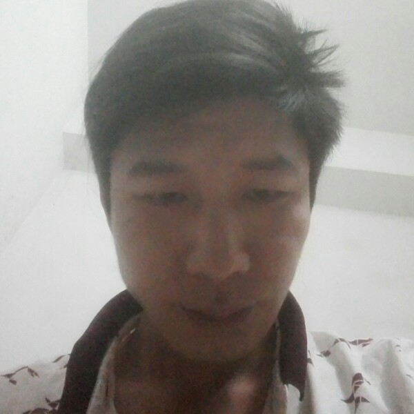 着急斑马的照片