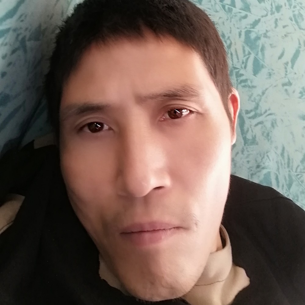 牛排蹁跹现代的照片