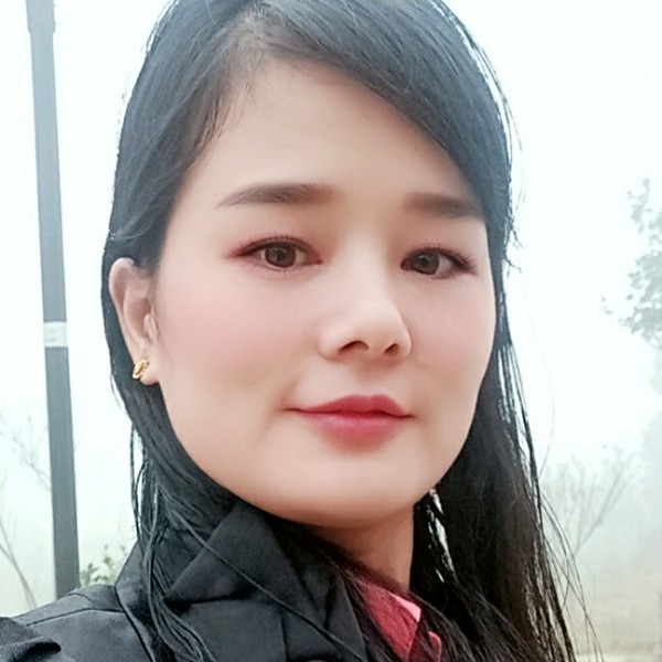 斑马冷艳的照片