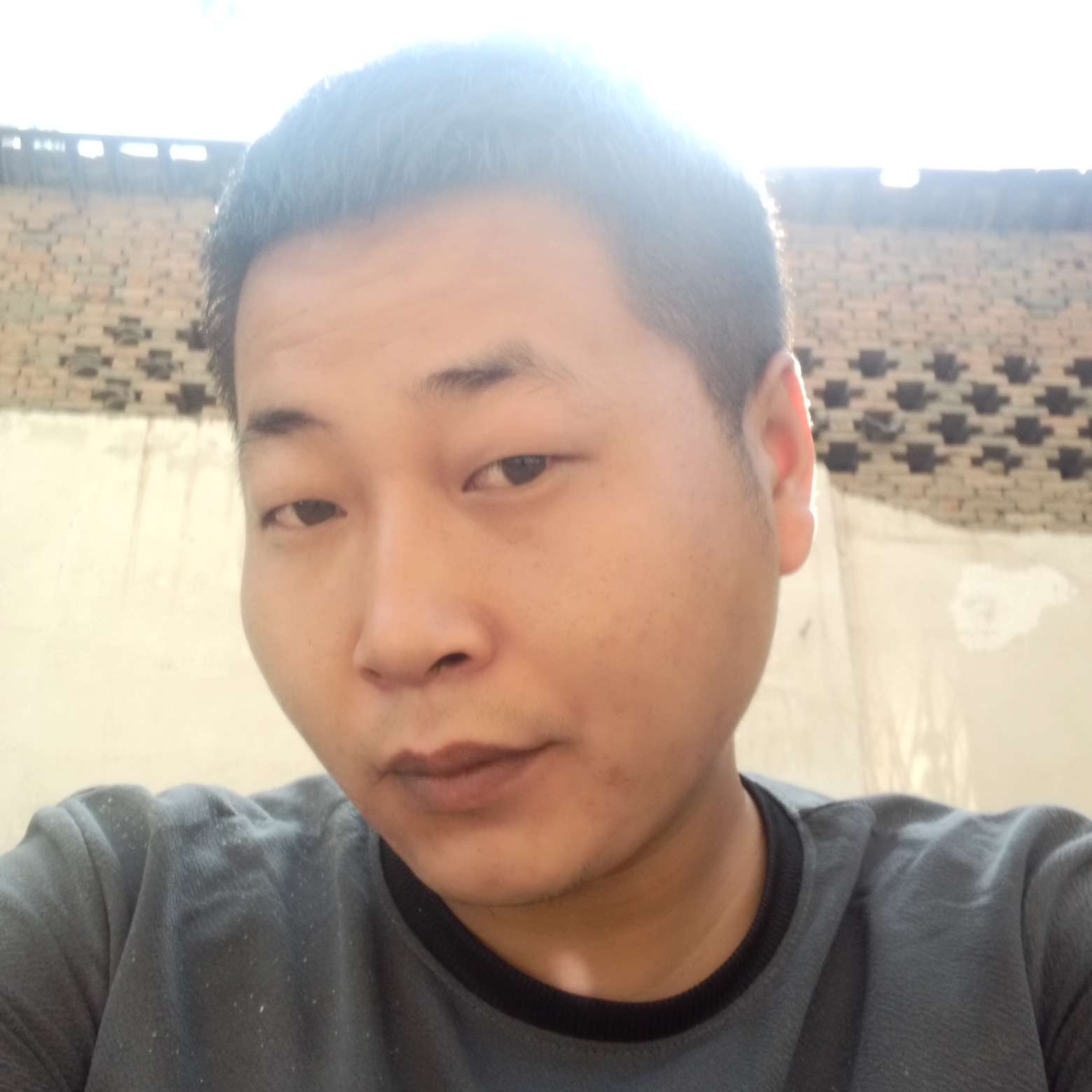 优秀有哈密瓜的照片