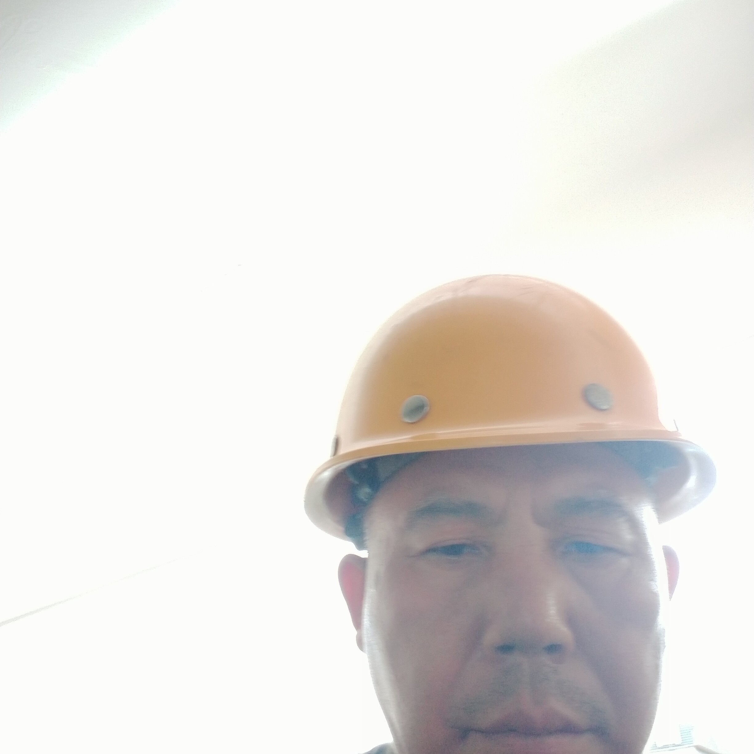 易心动的照片