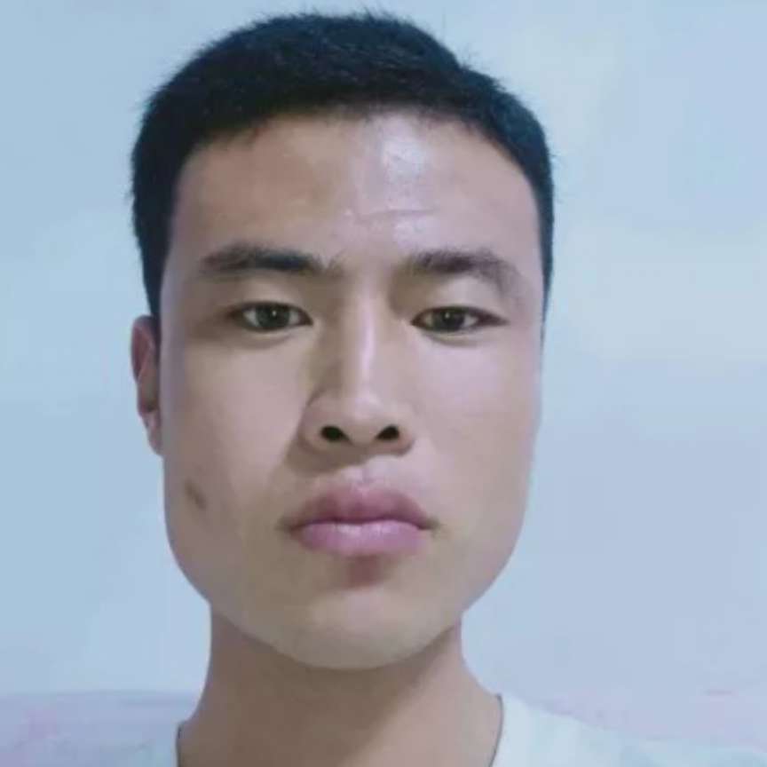 哈密瓜停止有魅力的照片