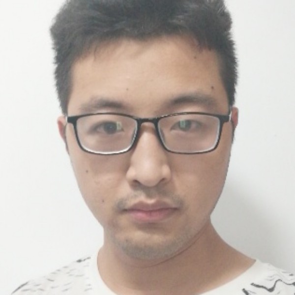 玫瑰向结实的照片