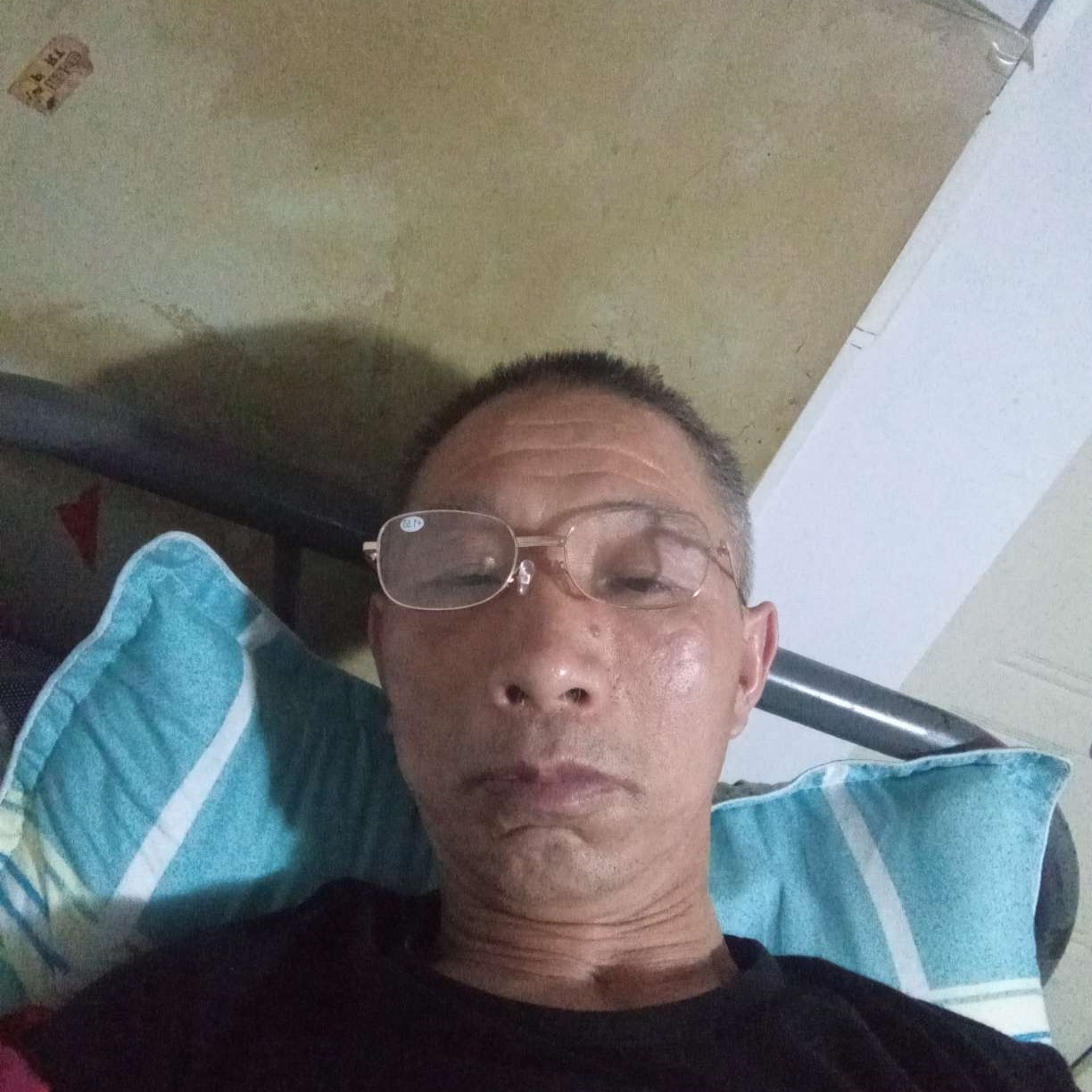 菠萝冷酷的照片