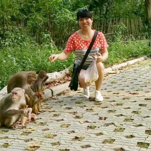 梦铊铃的照片