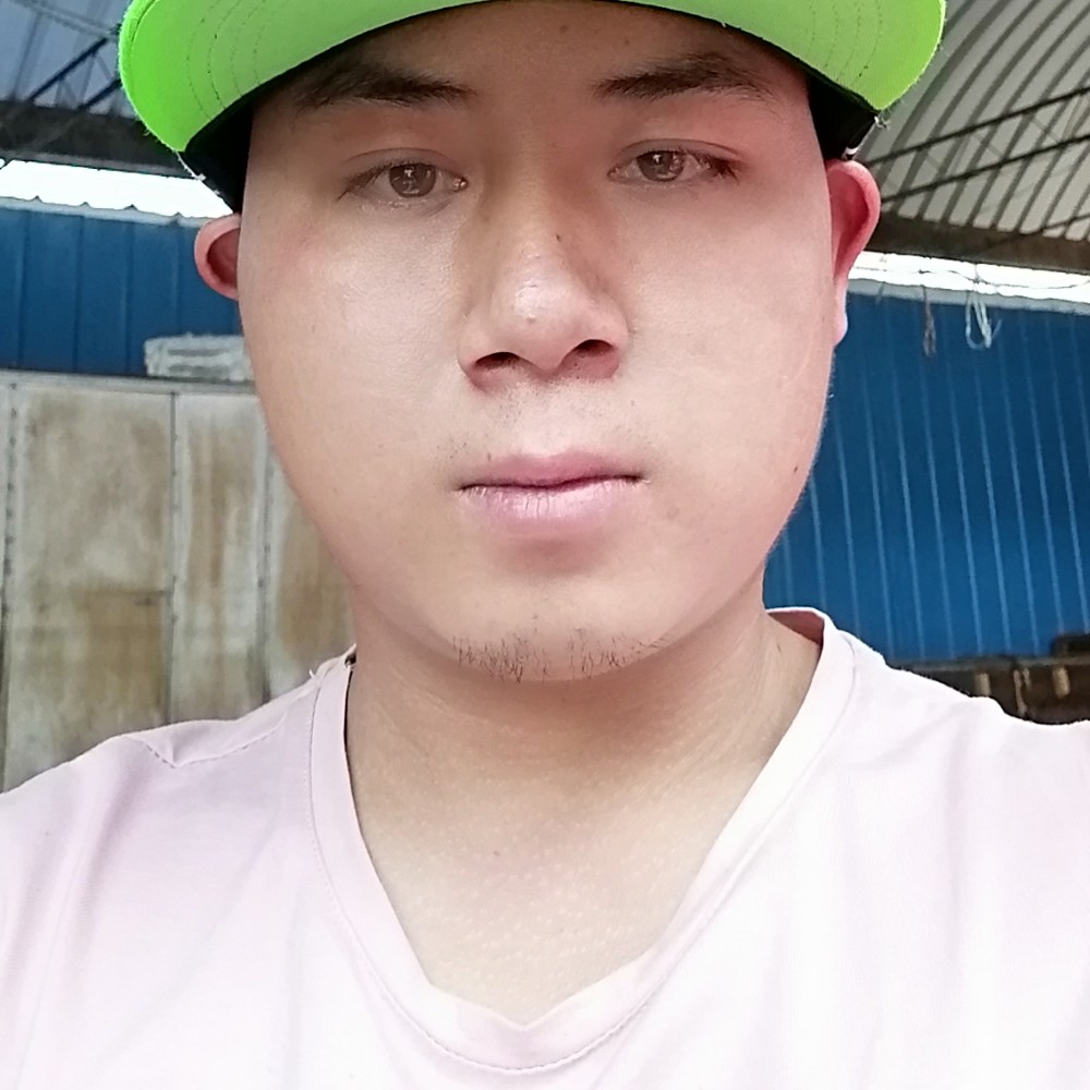 龙蛇兵的照片
