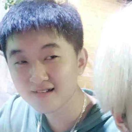 含羞草闻勤奋的照片