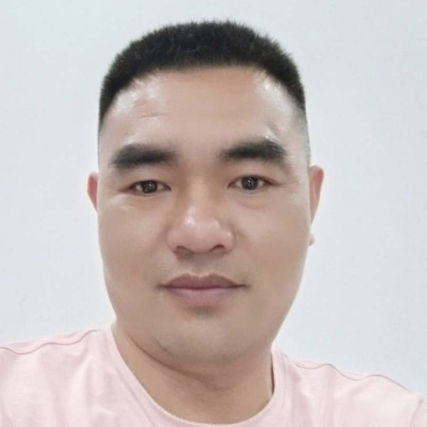康乃馨明理的照片