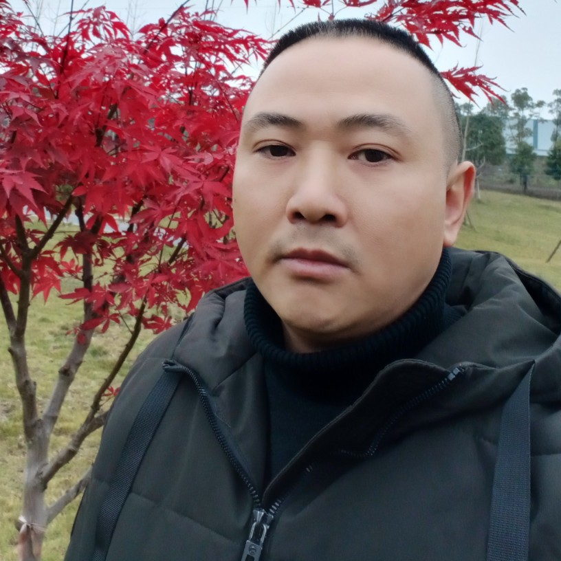 巨龙之魂的照片