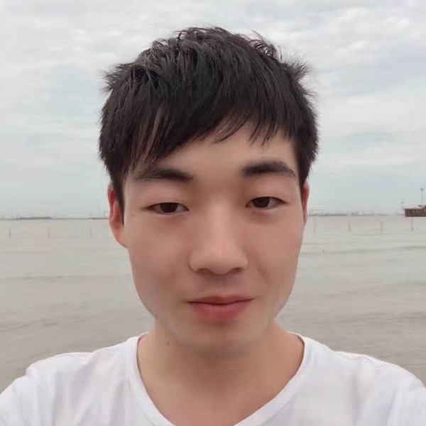 傻傻倾心玫瑰的照片