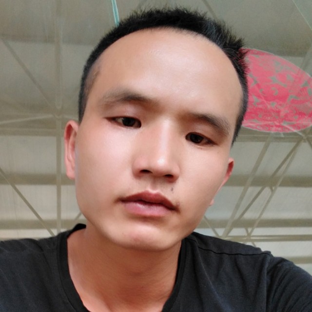自由是独立的照片