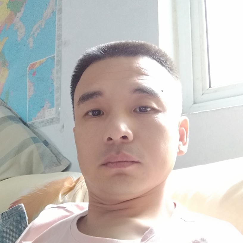 毛毛虫的照片