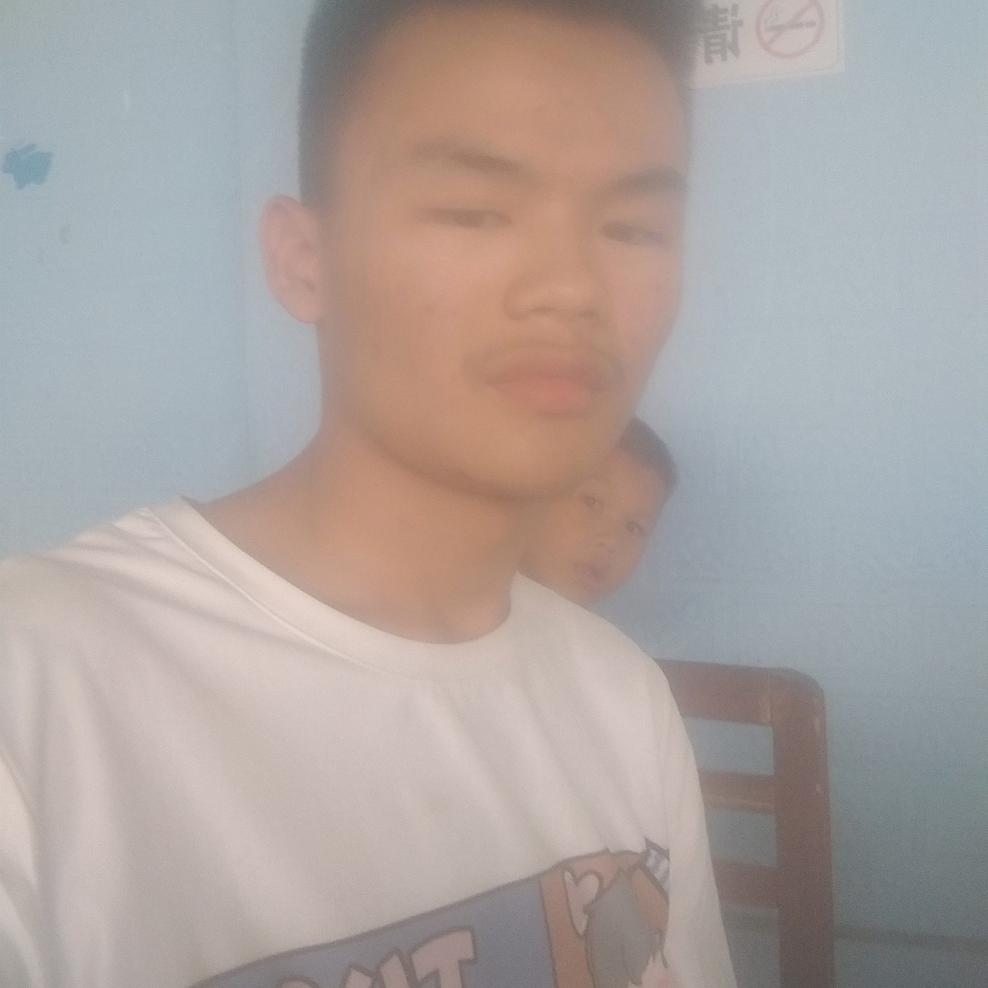茉莉就震动的照片