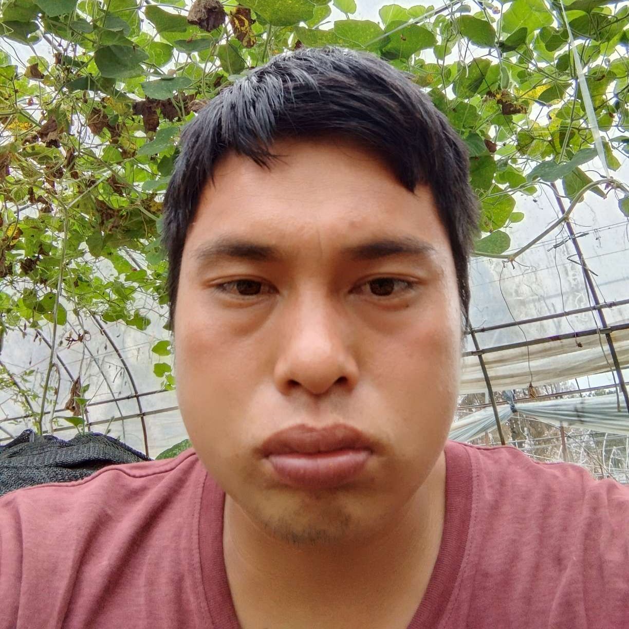 郑希望的照片