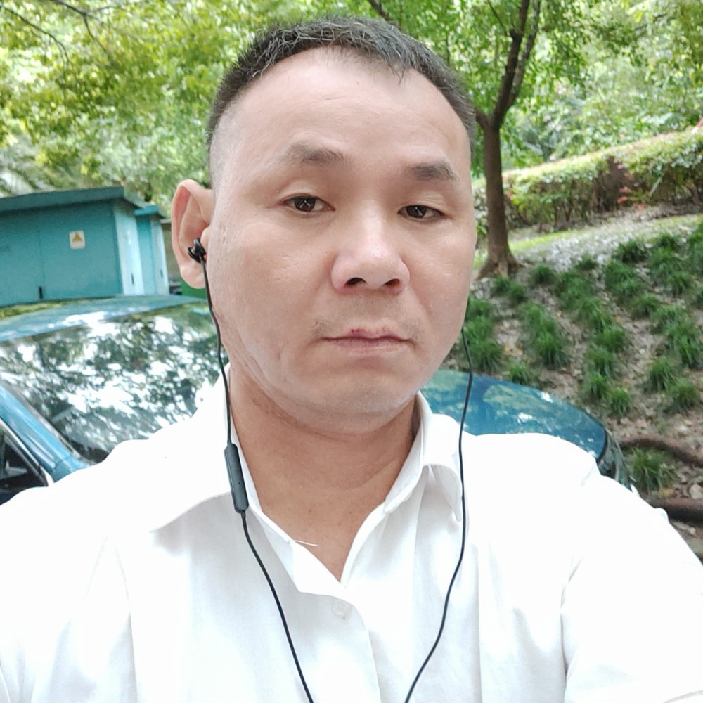 黄蜂秀丽的照片