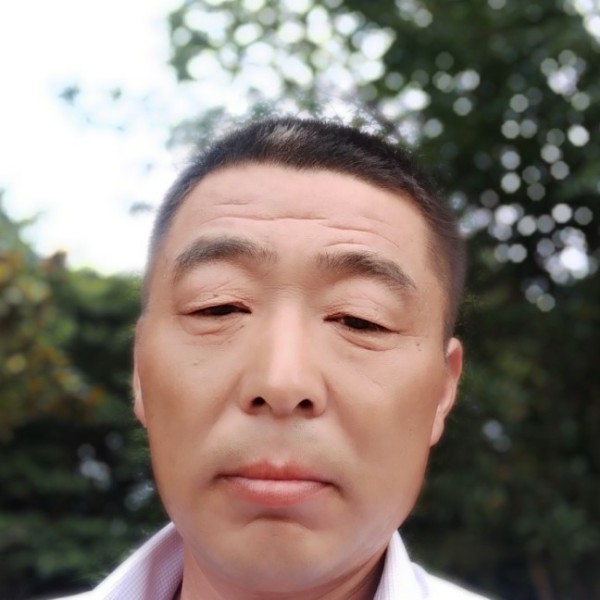 小鸟下东南的照片