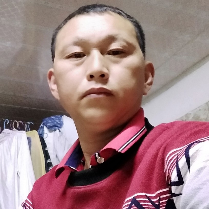 鸟与花香的照片