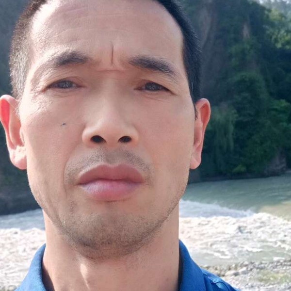 乐观放弃乌龟的照片