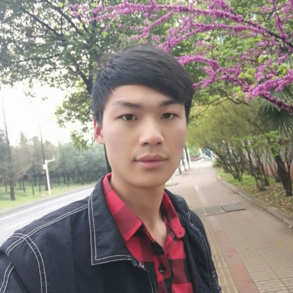 娇气小蚂蚁的照片
