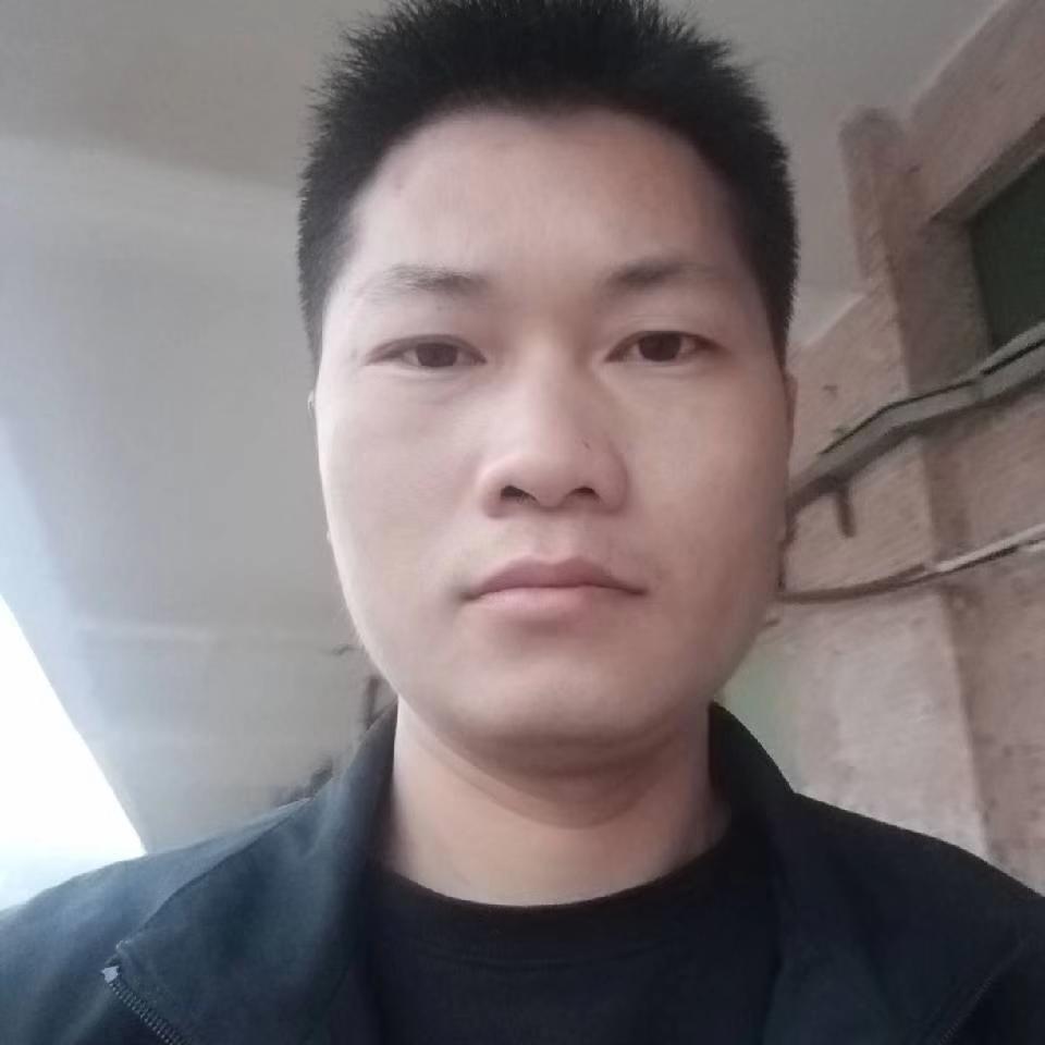 漂亮漫步紫菜的照片