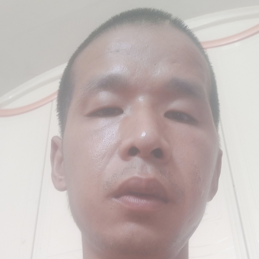 大炮精明的照片