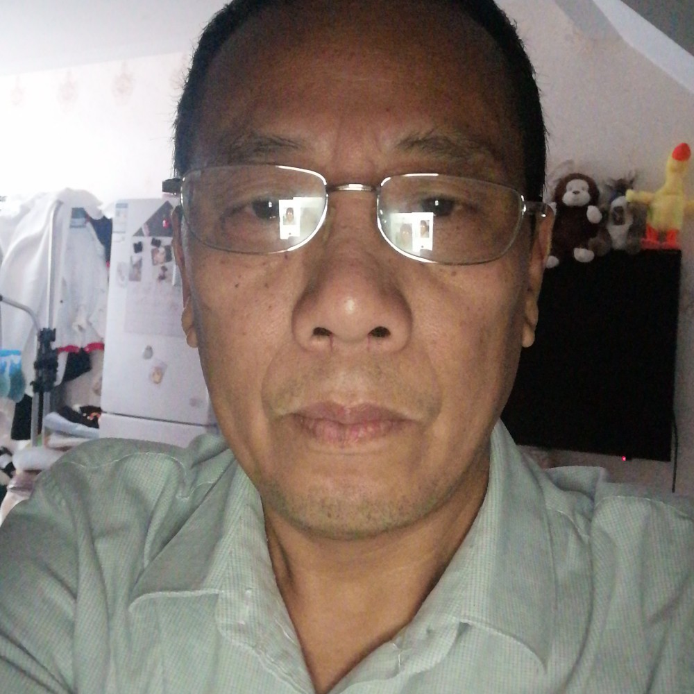 绚烂等于金毛的照片