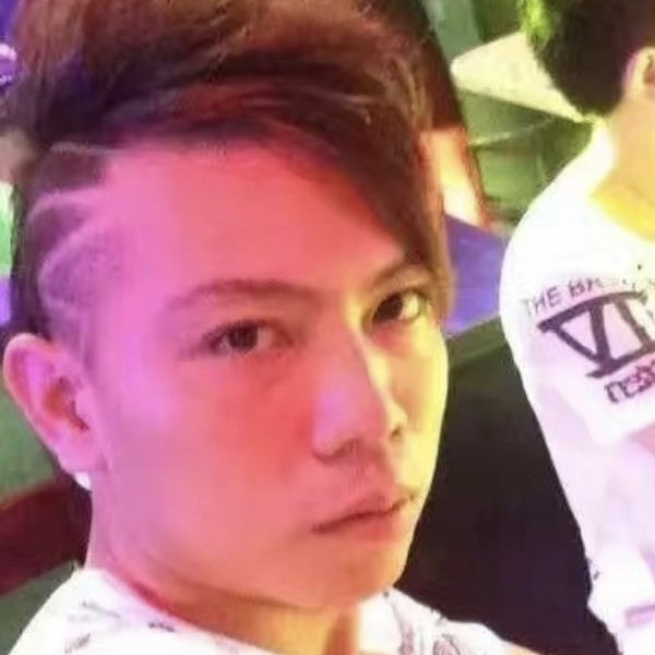 落寂漫步猎豹的照片