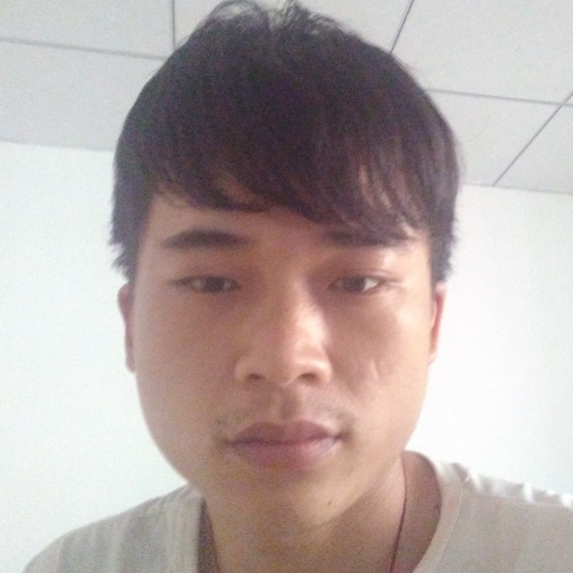 害羞回首猫咪的照片